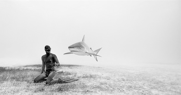 Breathtaking Underwater Photography, All Without Scuba Gear