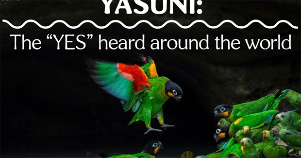 Yasuní: The “Yes” Heard Around the World
