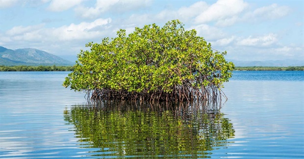UNA AYUDA PARA EL CARIBE FRENTE AL CAMBIO CLIMÁTICO