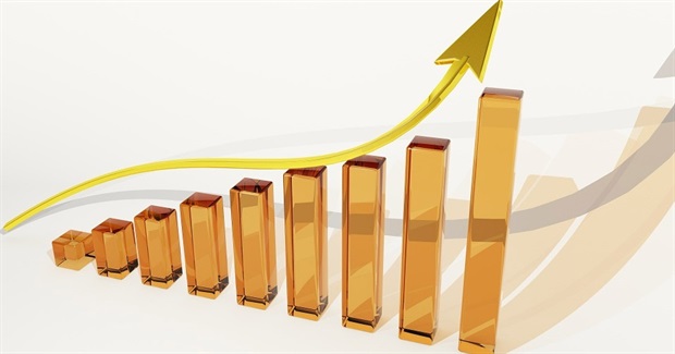 Sacred Cows of Cancun (And Some Elephants in the Room)