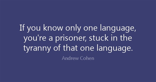 The Divided States of Hypocrisy: Americans, Prisoners of Language.