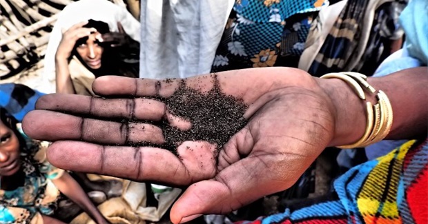 African Governments Sell Out Their Farmers in Secret Seeds Protection Deal