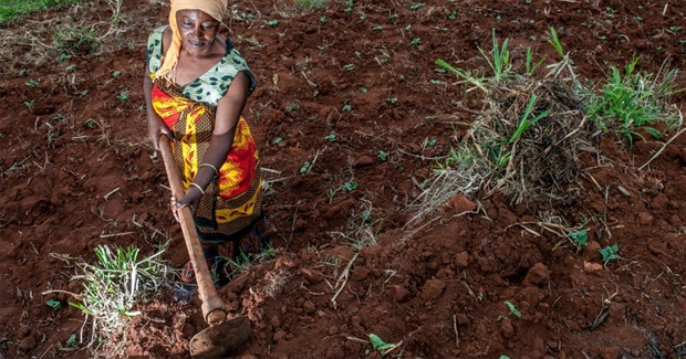 Women and Biodiversity Feed the World, Not Corporations and GMOs