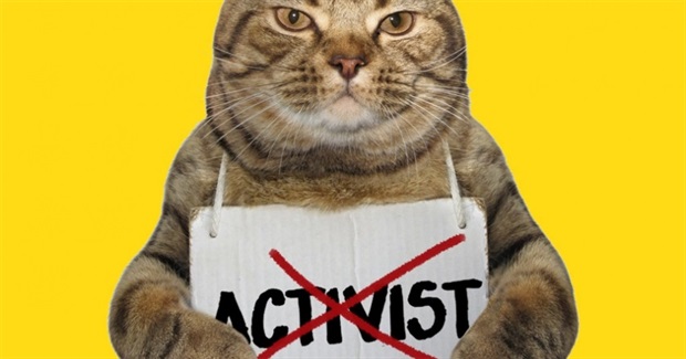 Why We Should Stop Using the Word "Activist"