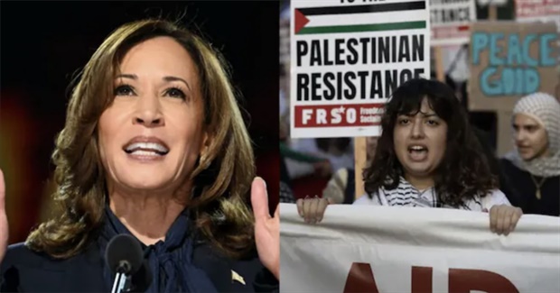 Punishing the Democrats: Is This the Best Way to Oppose a Genocidal War?