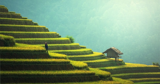 Exponential Altruism: a Strategy for a New World