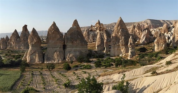 The Revolution Has Begun. "The Shift Hits the Fan"