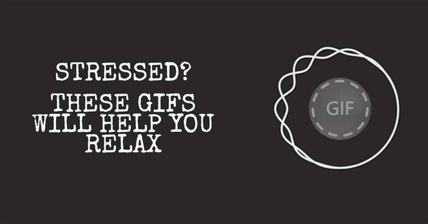 Stressed? These Gifs Will Help You Relax