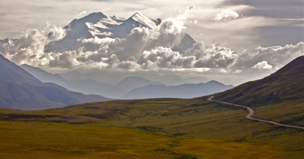 Why We Fight for the Living World: It's About Love