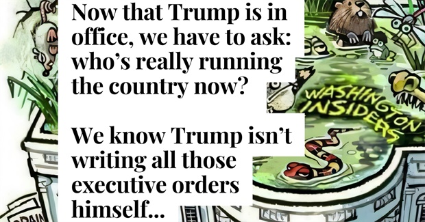 Now That Trump Is in Office, Who Is Really Running the Country?