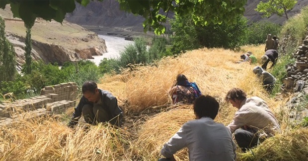 The Great Deceleration