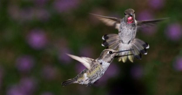 Ideal&Implementation