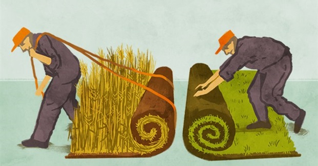 Comic: Why You Should Turn Your Yard Into a Mini-Farm
