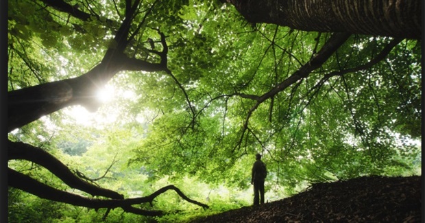 Initiation Into a Living Planet