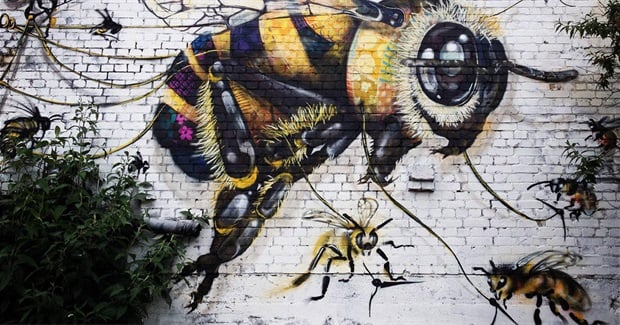 If You Learn Anything From This Street Artist Works It's The Vital Importance Of Bees