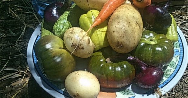 Towards a popular vote on food sovereignty in Switzerland