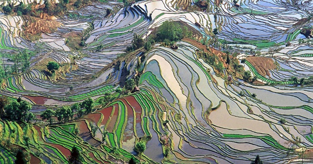 Culture Shift: Redirecting Humanity's Path to a Flourishing Future