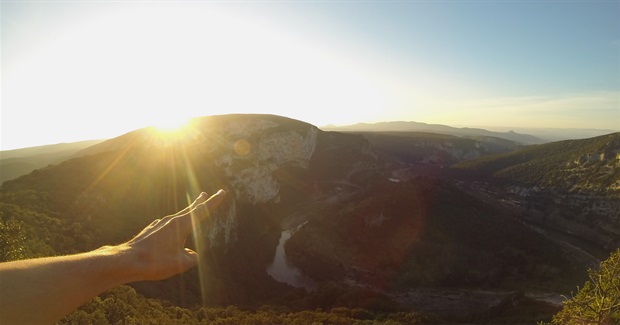 Teachings From Psychedelic Plants