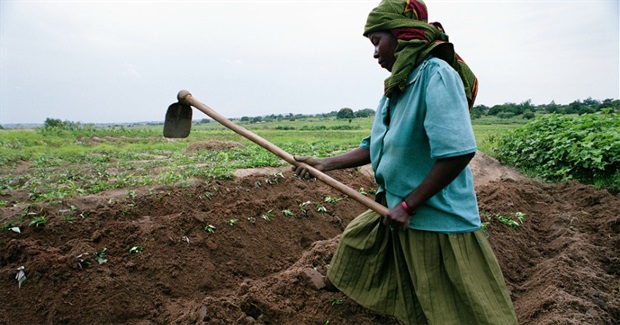World's Small Farmers Fighting Back as WTO Pushes Corporate Agenda