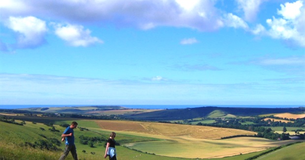 Can Love Stories Change the World?