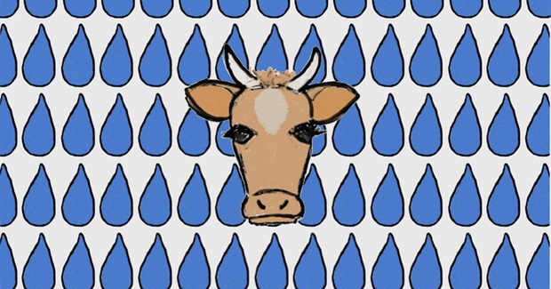 When It Comes to Copious Water Consumption, Animal Ag is the Biggest Offender