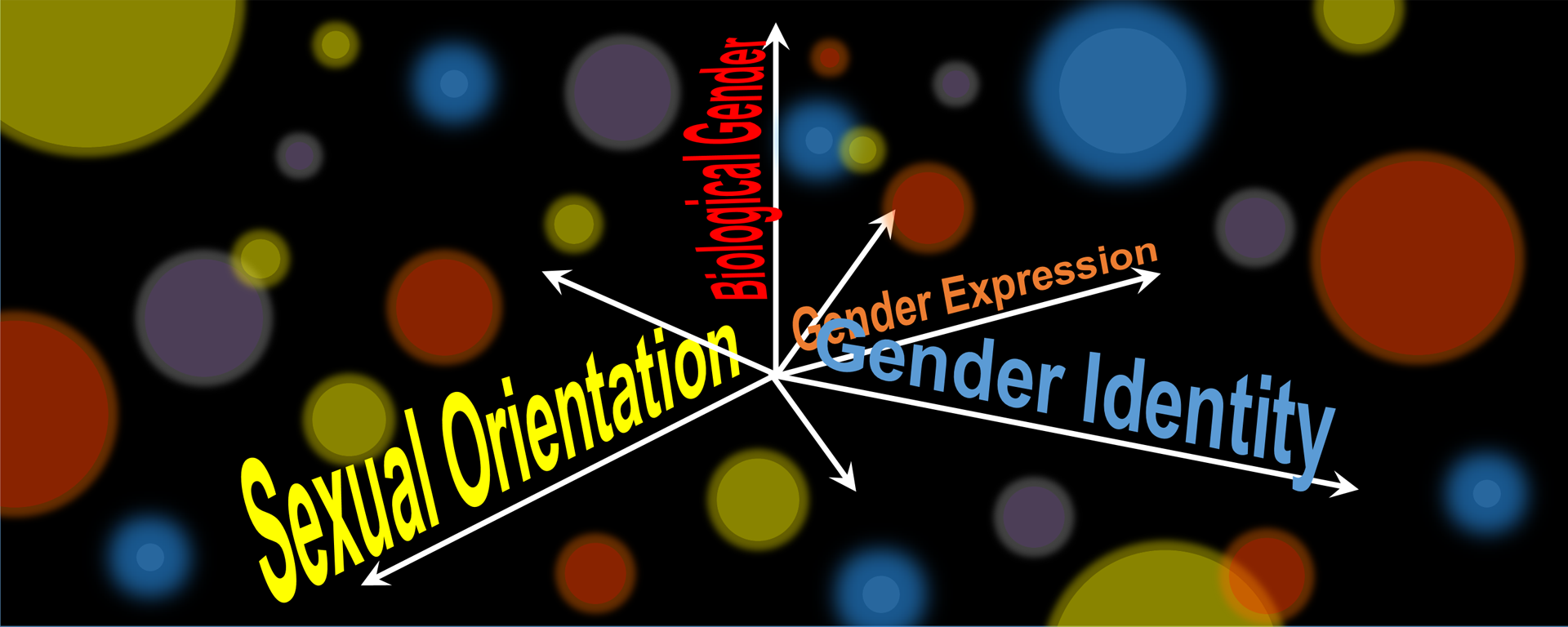 Understanding Gender Identity and Gender Expression | SUNY 