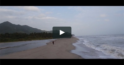 Ayahuasca - a short film