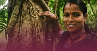 TreeSisters Aim to Plant Millions of Trees and Creature a Culture of Ecological Restoration