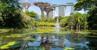 Singapore: Biophilic City