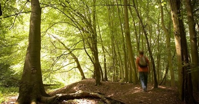 Basic Income Isn’t Just a Nice Idea. It's a Birthright