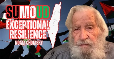 Noam Chomsky: How Will Palestinians Attain Freedom?