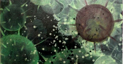 Searching for the Anti-Virus | Covid-19 as Quantum Phenomenon