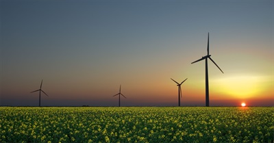 On IRENA and Its Degree of Reach - From Interstate Cooperation to Rural Practice