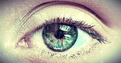 Life, but Not as We Know It