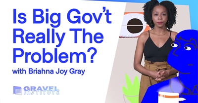 Is "Big Government" Really the Problem? | Briahna Joy Gray