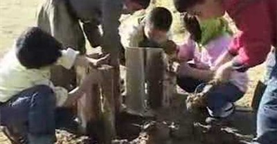 Ahoora Zamanpira: Dream House