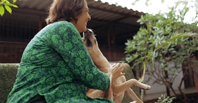 They Get Letters From a Three-Legged Dog