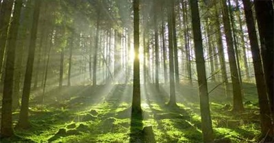 Thinking Outside The Box - Conformity to Abstraction and Beyond