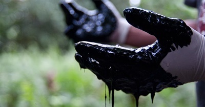 The Afectados - Oil Spill in the Amazon