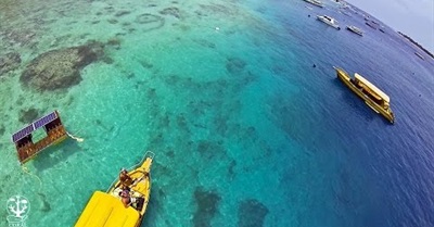 Manta Reef Restoration Project - Gili Trawangan - Indonesia