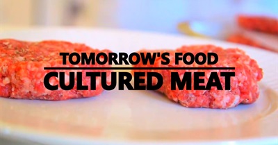 Tomorrow's Food: Cultured Meat