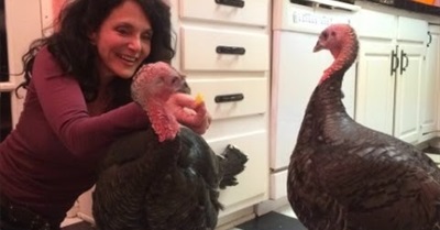 Giving a Whole New Meaning to "Having Turkey for Dinner"