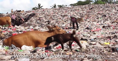 Bali's Environmental Ambassadors