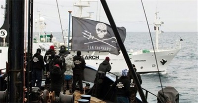 Operation Zero Tolerance: Saving Whales via Direct Action