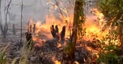 2015 - Year of the Firestorm.