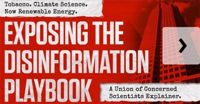 Exposing the Disinformation Playbook: An Interactive Slideshow