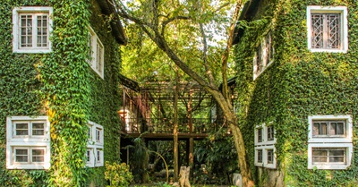 Hope Is an Imperative: Sparking an Ecological Design Revolution