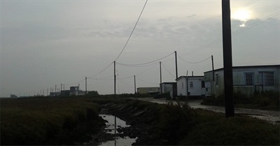 16 votes and no mule