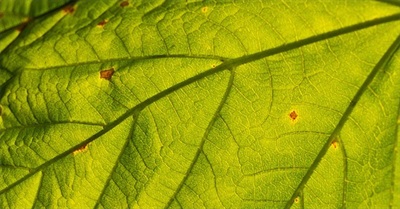 It's a "Story Problem": What's Behind Our Messed-Up Economy