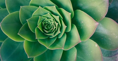 The Vision of Wellbeing Economies